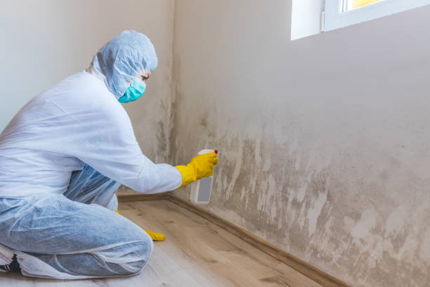 Crawl Space Mold Removal in Portland, TX