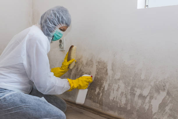 Best Certified Mold Removal  in Portland, TX