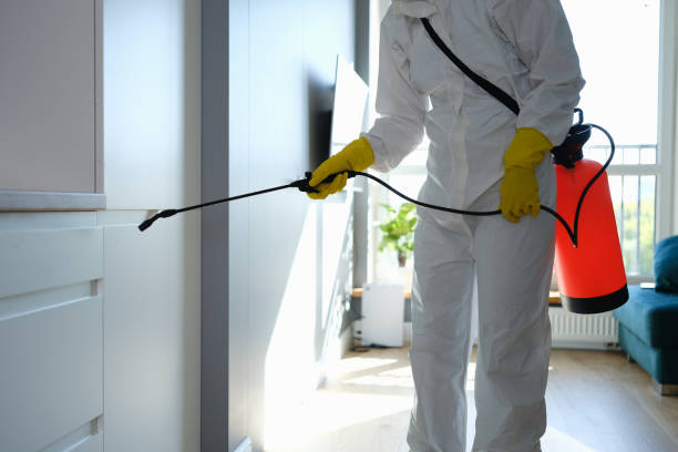 Best Mold Cleaning Services  in Portland, TX