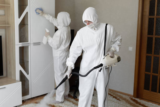 Best Residential Mold Removal  in Portland, TX