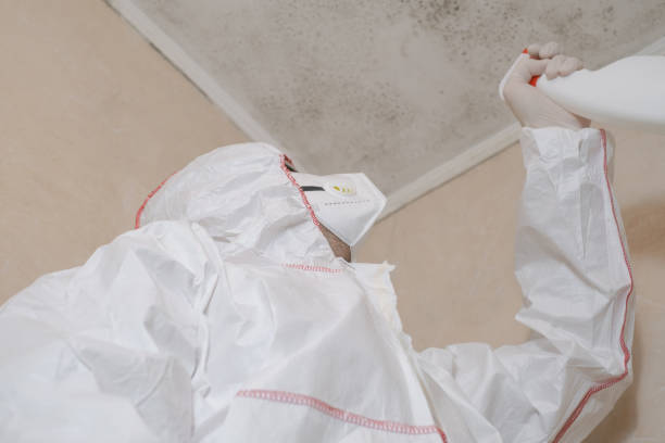 Best Mold Testing  in Portland, TX